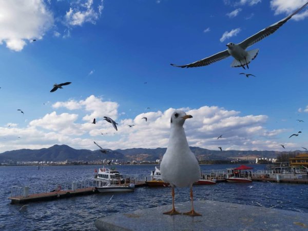 点点盈 婚姻登记全国通办后带火“婚登+文旅”新赛道，你想去哪结婚？