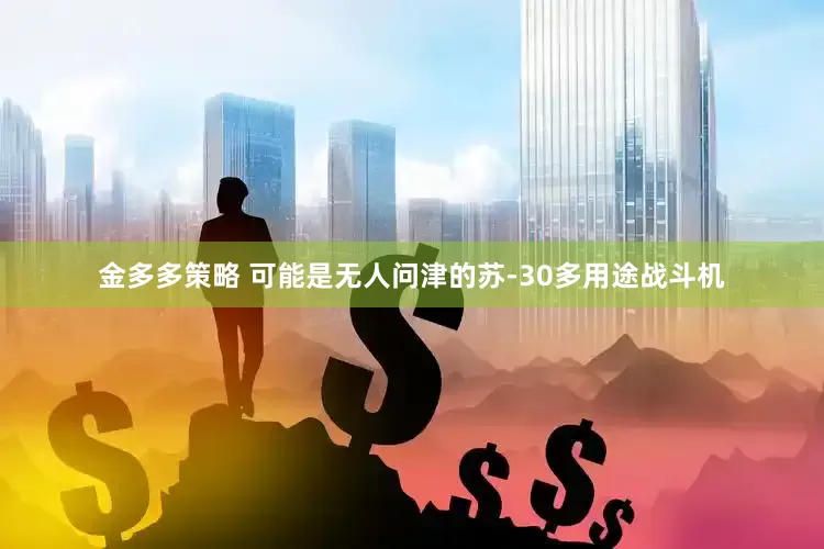金多多策略 可能是无人问津的苏-30多用途战斗机